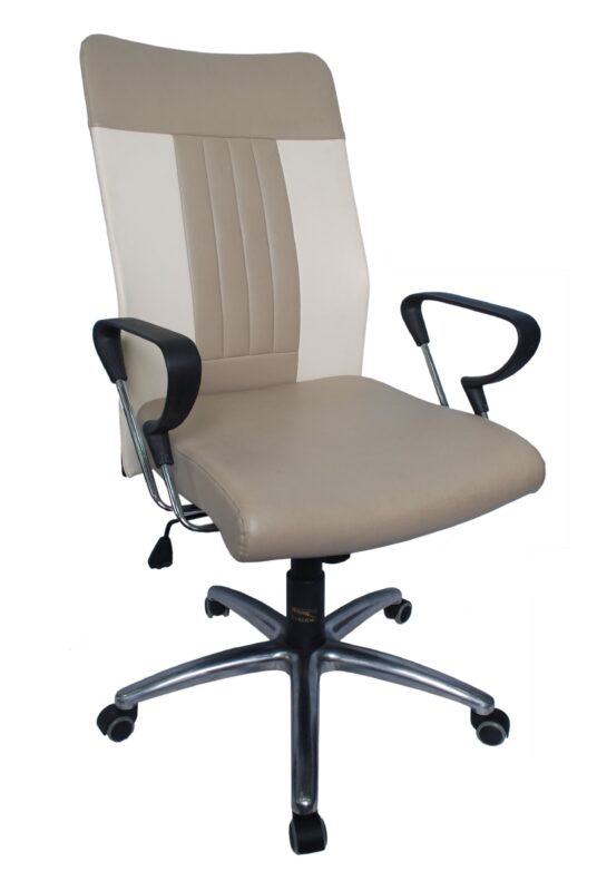 Kursi kantor Tiger T 2110